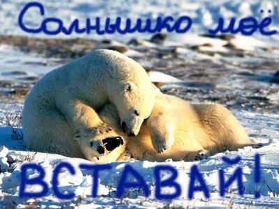 Утро дивное настало.